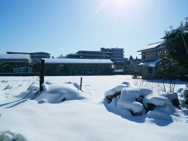 2018年1月東京町田の雪