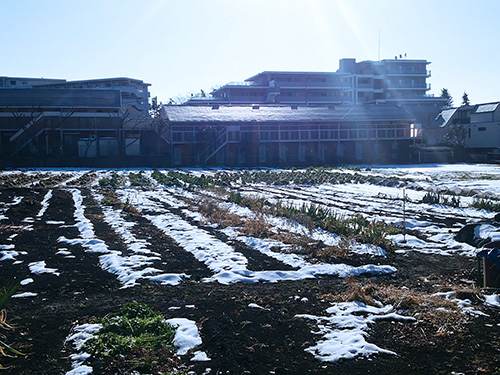 2016年町田雪